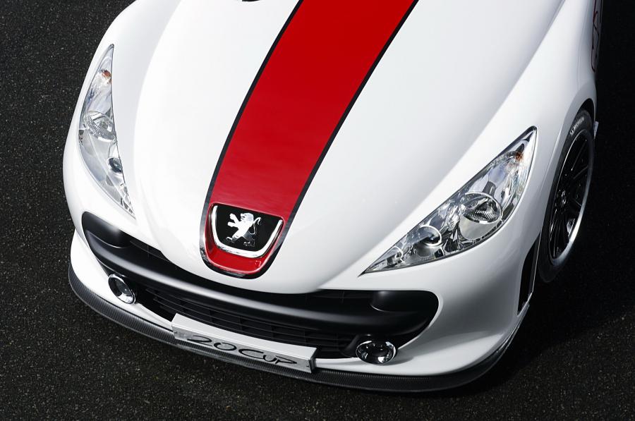  Peugeot 20Cup 2005 года  (фото 16 из 60)